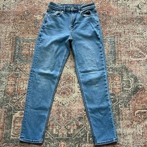 American Eagle Standard Classic Wash Stretch Jean/Size 0